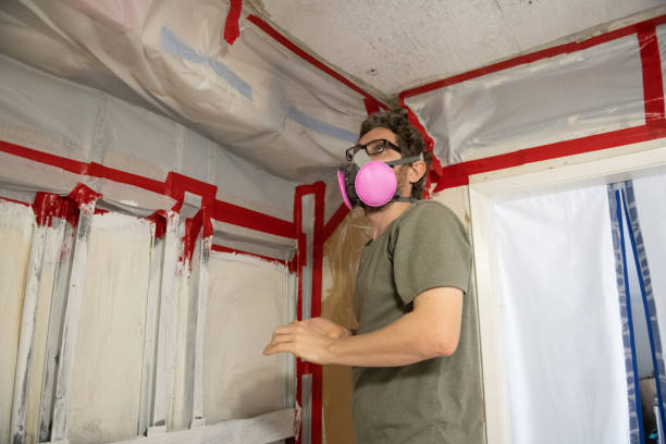 Best Mold Remediation for Healthcare Facilities  in North Conway, NH